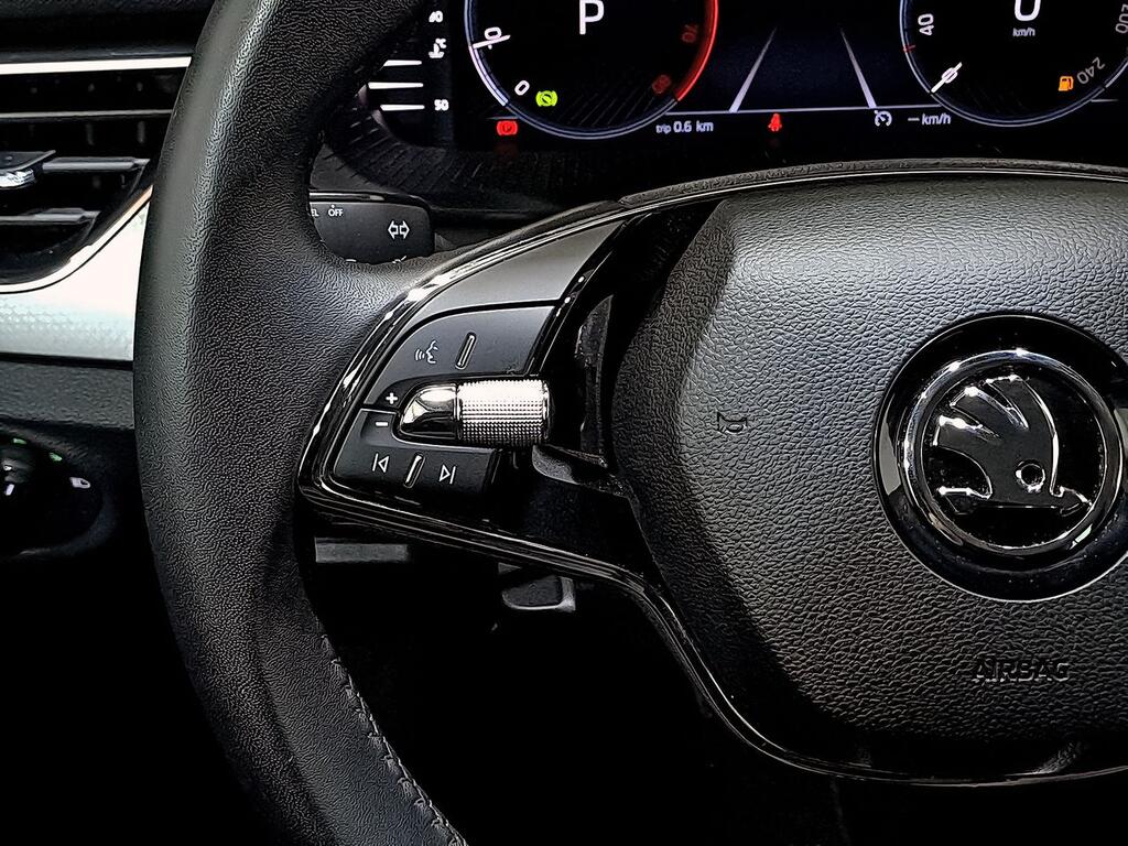 Skoda Kamiq 1.0 TSI 81kW (110CV) DSG STYLE 15