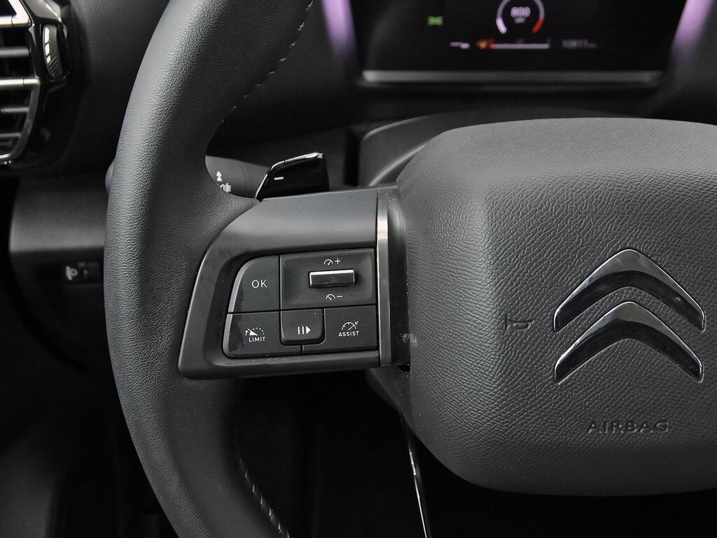 Citroën C4 PureTech 130 S&S EAT8 Plus 17