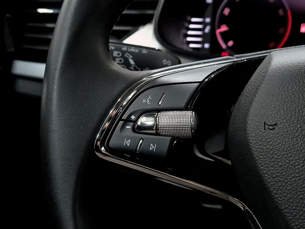 Skoda Kamiq 1.0 TSI 81kW (110CV) Ambition 14