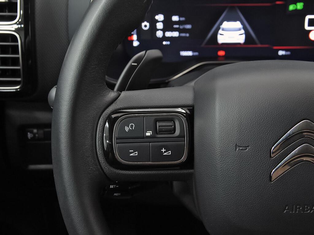 Citroën C5 Aircross PureTech 96kW (130CV) S&S EAT8 C Series 18
