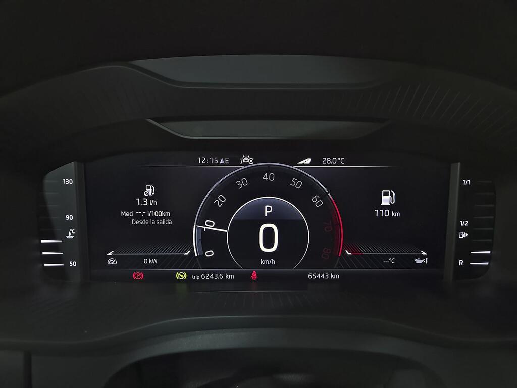 Skoda Kodiaq 1.5 TSI 110KW (150cv) DSG 4x2 Ambition 13